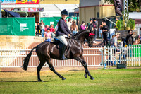DSCF5347