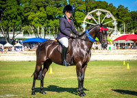 DSCF5376