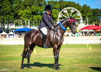 DSCF5380