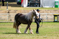 DSCF7251