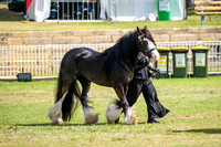 DSCF7253