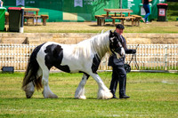 DSCF7254