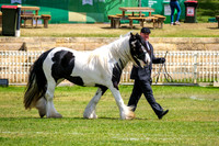 DSCF7255