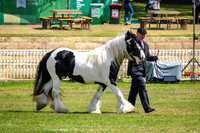 DSCF7257