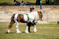 DSCF7275