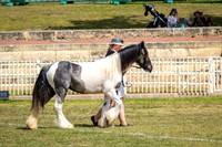 DSCF7279