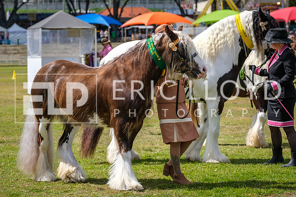 DSCF7430