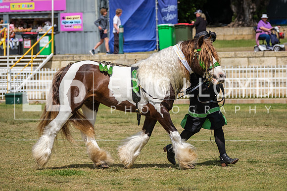 DSCF7487