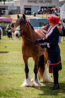 DSCF7514