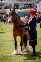 DSCF7515