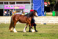 DSCF7528