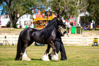 DSCF7525