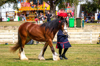 DSCF7535