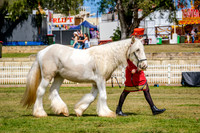 DSCF7539