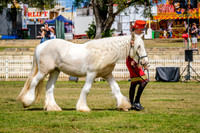 DSCF7540