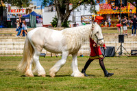 DSCF7542