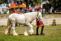 DSCF7545