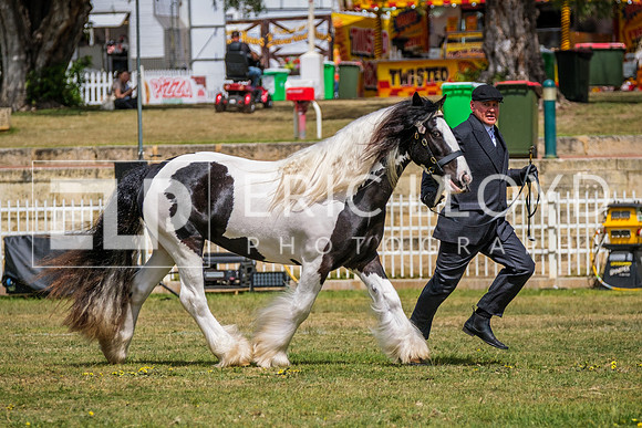 DSCF7742