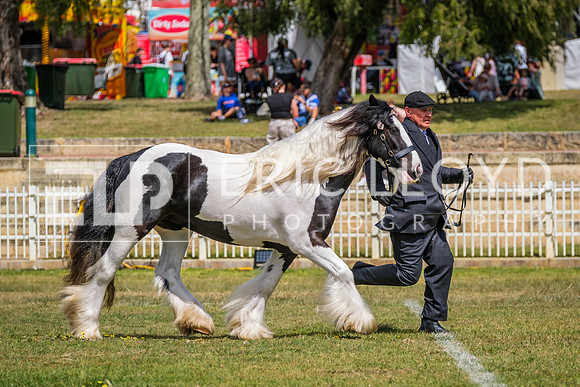 DSCF7744