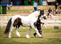 DSCF8377