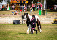 DSCF8387