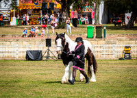DSCF8386