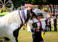 DSCF8423