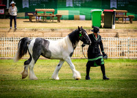 DSCF8174
