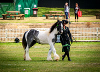 DSCF8183