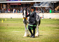 DSCF8215
