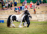 DSCF8436