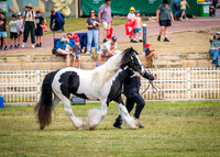 DSCF8437