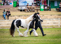DSCF8441