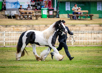 DSCF8444