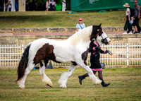 DSCF8466