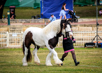 DSCF8478