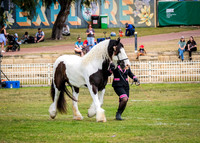 DSCF8484
