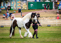 DSCF8486