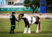 DSCF8521