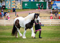 DSCF8489