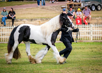 DSCF8578