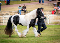 DSCF8575