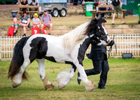 DSCF8584