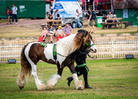 DSCF8586