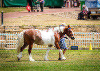 DSCF8596
