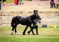 DSCF8615