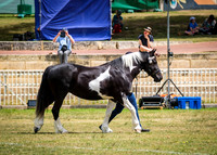 DSCF8616