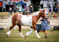 DSCF8970