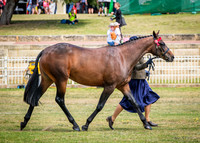 DSCF9165