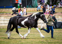 DSCF9238